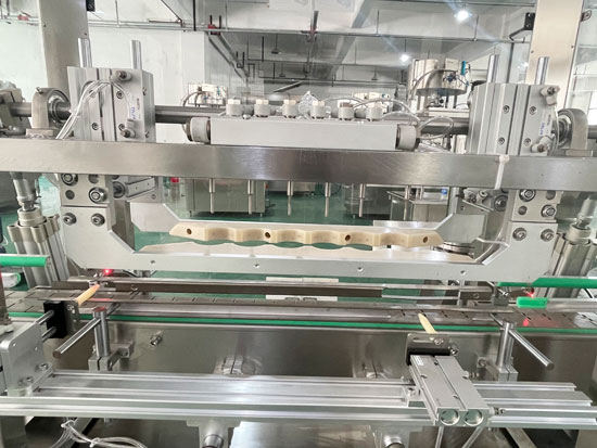 自動等離子風(fēng)洗瓶機(jī)